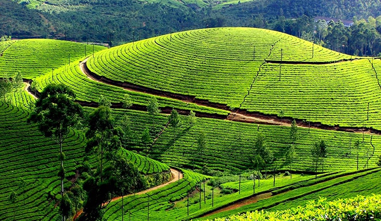 Vé máy bay Sài Gòn Vinh Đặt vé máy bay Sài Gòn Vinh giá rẻ