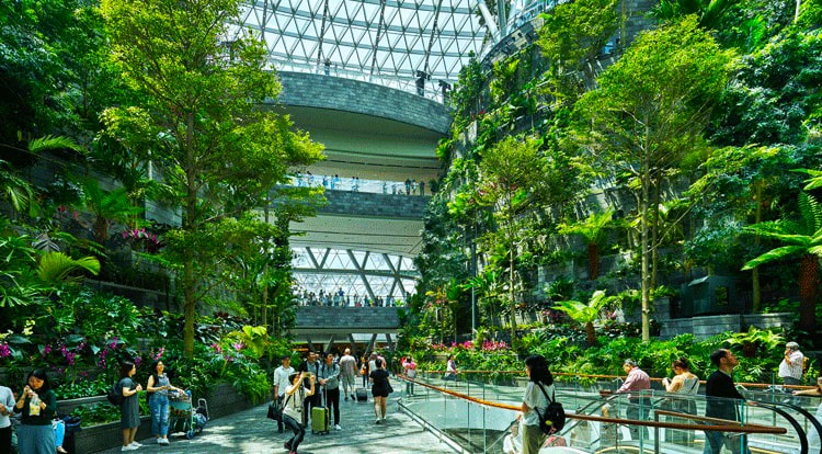 Sân bay Changi Singapore
