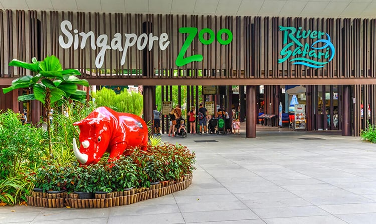 Những địa điểm du lịch nổi tiếng ở Singapore - Singapore Zoo