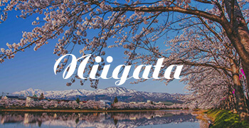 Vé máy bay đi Niigata giá rẻ | Khuyến mãi 49%