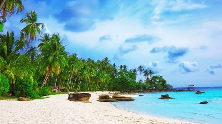Cảnh đẹp Bãi Trường Cảnh đẹp Bãi Trường